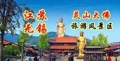 www.caomeishipin污江苏无锡灵山大佛旅游风景区